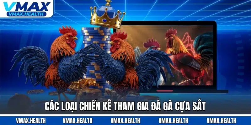 Các loại chiến kê tham gia đá gà cựa sắt