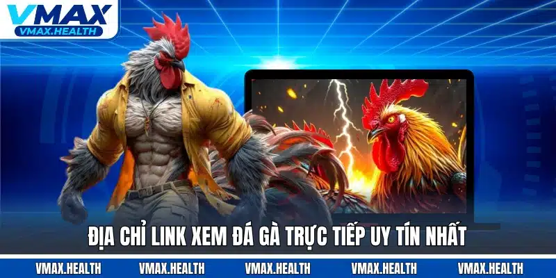 Địa chỉ link xem đá gà trực tiếp uy tín nhất