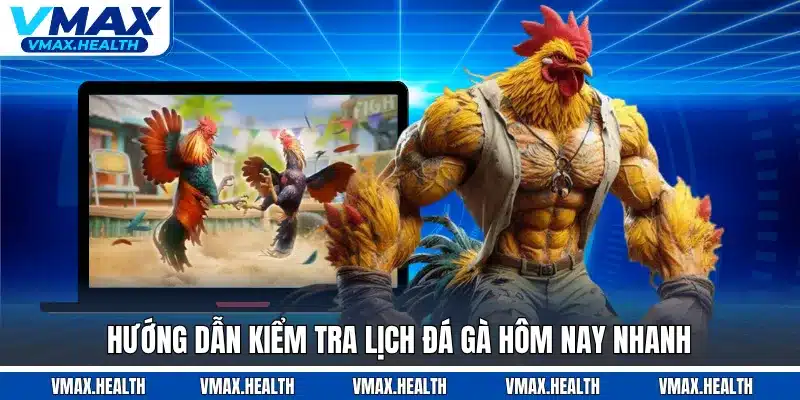 Hướng dẫn kiểm tra lịch đá gà hôm nay nhanh