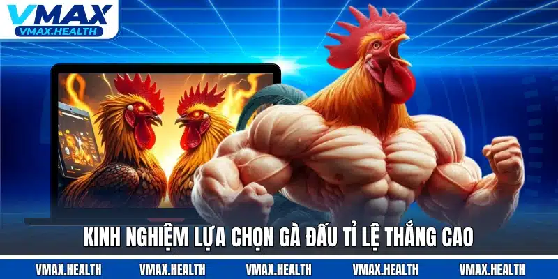 Kinh nghiệm lựa chọn gà đấu tỉ lệ thắng cao