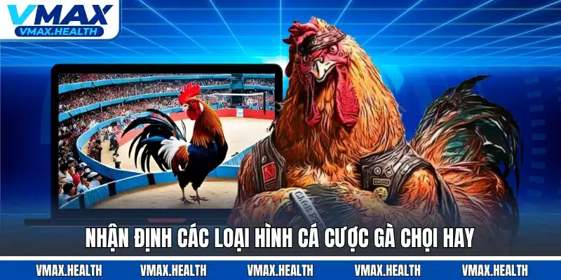 Nhận định các loại hình cá cược gà chọi hay