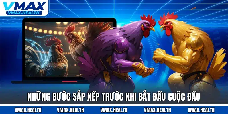 Những bước sắp xếp trước khi bắt đầu cuộc đấu
