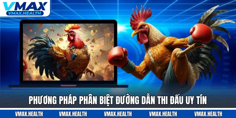 Phương pháp phân biệt đường dẫn thi đấu uy tín