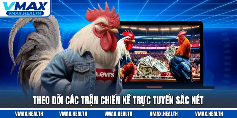 Theo dõi các trận chiến kê trực tuyến sắc nét