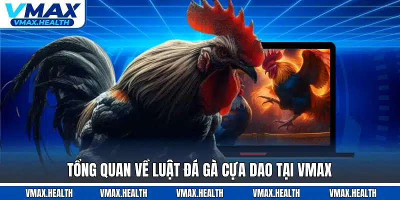 Tổng quan về luật đá gà cựa dao tại VMAX