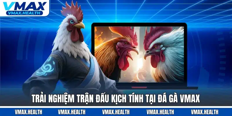 Trải nghiệm trận đấu kịch tính tại đá gà VMAX