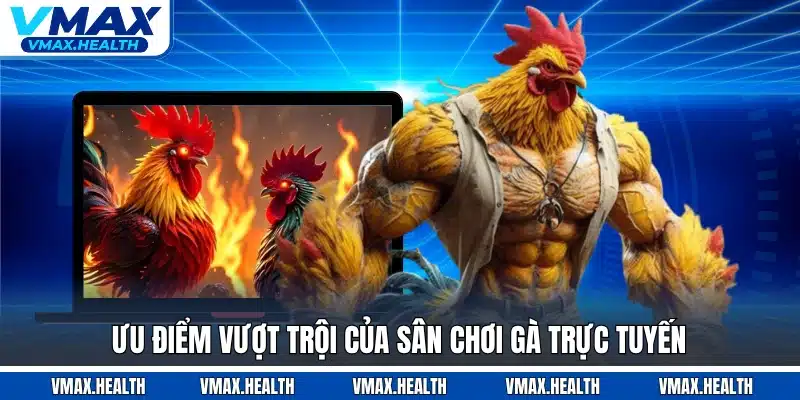 Ưu điểm vượt trội của sân chơi gà trực tuyến